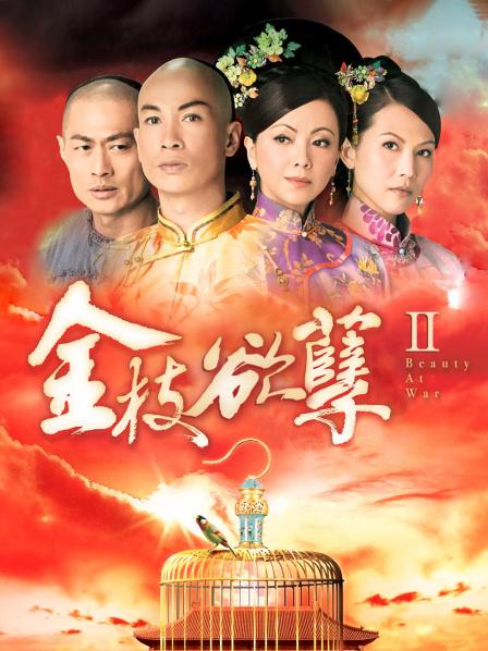 私人玩物 &#8211; 极上魅惑黑丝[37P+6V/965MB]